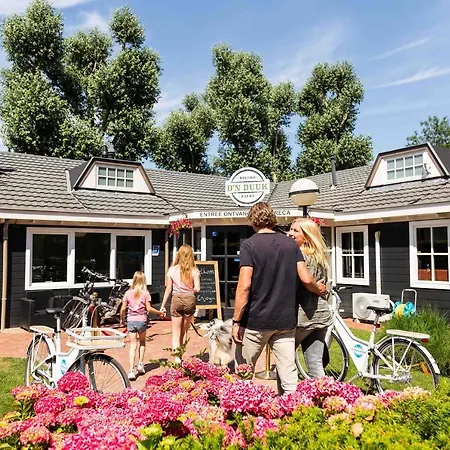 Topparken - Recreatiepark Het Esmeer Ferienpark Aalst